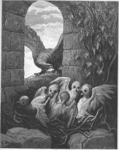 The Eagle and the Owl - from 
