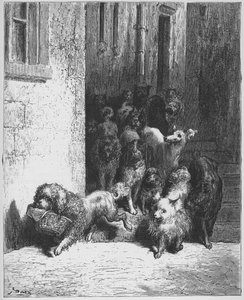 The Dog Carrying His Master