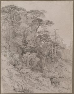 Trees of a Rocky Hillside
