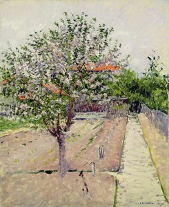 Apple Tree in Blossom, c.1885