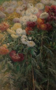 Chrysanthemums in the Garden at Petit-Gennevilliers, 1893 by Gustave Caillebotte