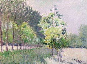 Orchard and Avenue of Trees