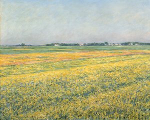 The Plain of Gennevilliers, Yellow Fields by Gustave Caillebotte