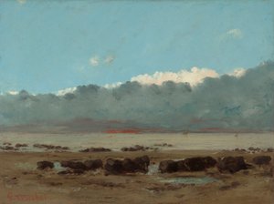Black Rocks near Trouville