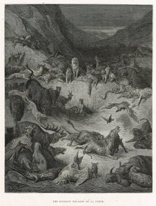 The Animals Sick of the Plague by Gustave Dore