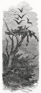 A Celtic Sky Burial, 1866