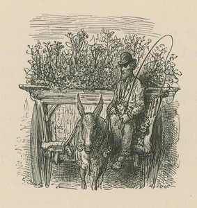 A Man Driving a Cart Laden with Plants and Flowers by Gustave Dore