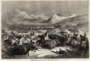 Buffalo Hunting Among the Delawares by Gustave Dore