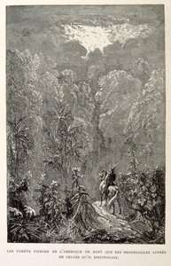 Illustration of American forest (from La legende de Croque-Mitaine) by Gustave Dore