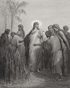 Jesus and His Disciples in the Corn Field, Illustration from Dore