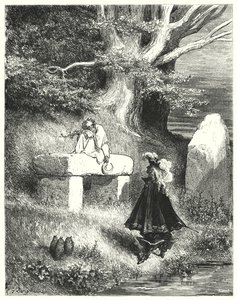 Donkey Skin by Gustave Dore