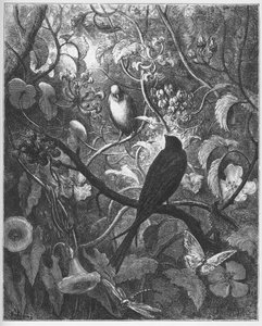 Philomele and Progne - from "Fables" by Jean de La Fontaine