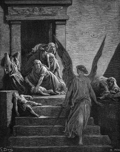 Seven Plagues of Egypt