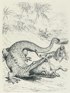The Adventures of the Baron of Munchausen: The fearless Baron of Munchausen pursued by a lion crosses the path of a huge crocodile that will devour the lion. Illustration by Gustave Doré