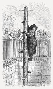 The Bear Pit - Zoological Gardens by Gustave Dore
