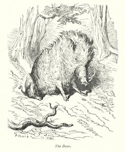 The Boar by Gustave Dore