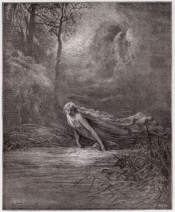 The Divine Comedy, Purgatorio, Canto 31: Dante submerged in the River Lethe - by Dante Alighieri - Illustration by Gustave Doré
