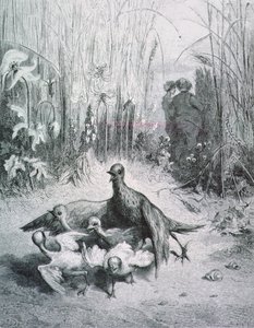 The Fable of the Lark, Her Young Ones and the Master of the Field, Illustration for the Fables of La Fontaine by Gustave Dore