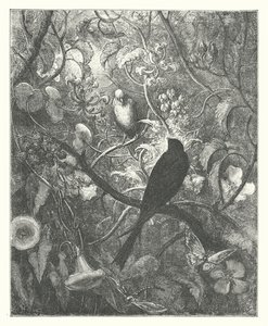 The Fables of La Fontaine: Philomel and Progne
