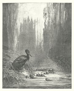 The Fables of La Fontaine: The Cormorant and the Fishes by Gustave Dore