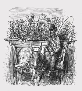 The Flower Hawker, 1872
