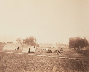 The Bivouac