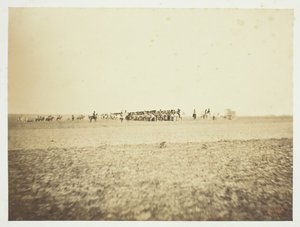 Untitled [cavalry]