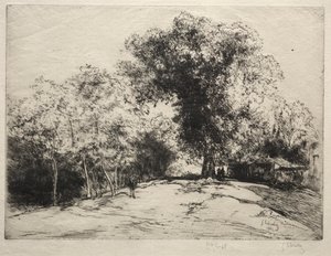 The Rampart Walk