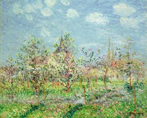 Orchard in Bloom