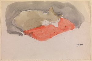 Cat Sleeping on a Red Cushion