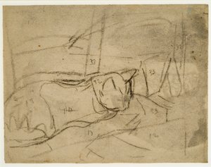 Cat Studies by Gwen John