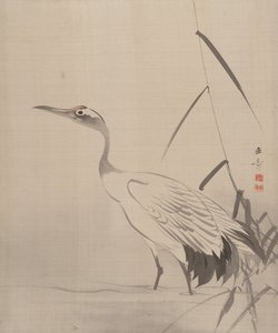 Crane Among Reeds