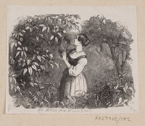 Illustration for "A Leaf from Heaven" in H.C. Andersen, "Fairy Tales and Stories", Volume 2 by H.P. Hansen