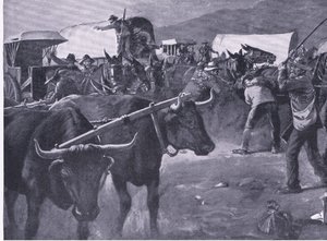 A hurried inspan (illustration from After Pretoria: The Guerilla War) by H. Dixon