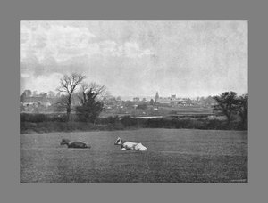 Southwell, c1900 by H. J. Bliss