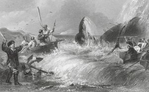 The Whale on Shore by H. Melville