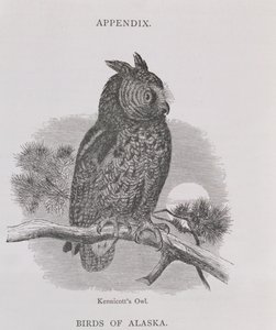 Kennicott