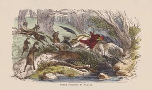 Horse pursued by wolves