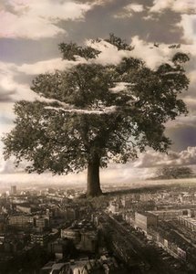 The Tree in Islington