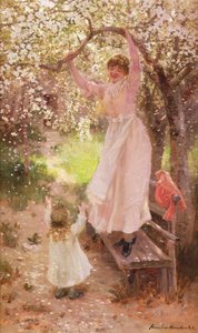 Falling Apple Blossoms