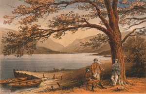 The Lake of the Pleasant Retreat. Llyn Mwyngyl, from Tal-y-Llyn, 19th Century