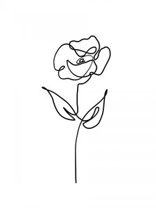 Single Line Rose by Hanna Lee Tidd