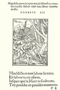 The Curse upon Earth and on Man