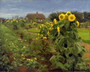 Sunflower Bloom