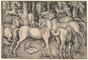 Group of Seven Horses by Hans Baldung