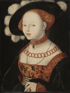 Portrait of a Lady by Hans Baldung Grien