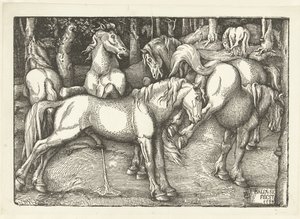 Group of Six Fighting Horses by Hans Baldung Grien