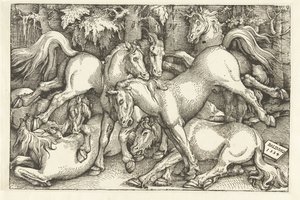 Group of Seven Fighting Horses