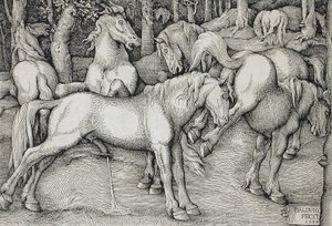 Stallion and Mare in a Group of Wild Horses in the Forest by Hans Baldung Grien