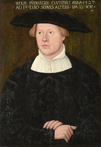 Portrait of Wolff Fürleger by Hans Brosamer